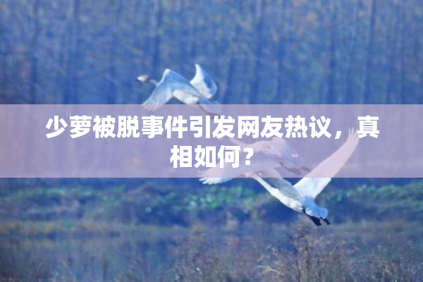 少萝被脱事件引发网友热议，真相如何？