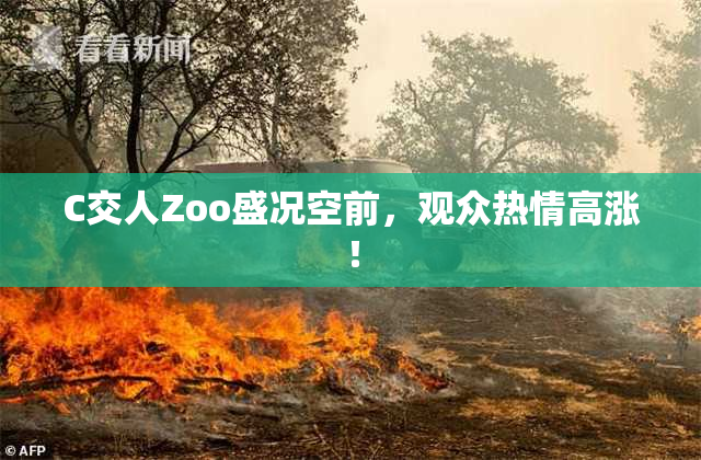 C交人Zoo盛况空前，观众热情高涨！
