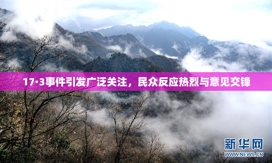 17·3事件引发广泛关注，民众反应热烈与意见交锋