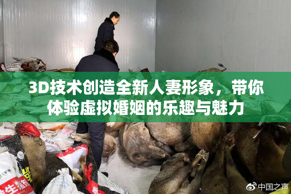 3D技术创造全新人妻形象，带你体验虚拟婚姻的乐趣与魅力