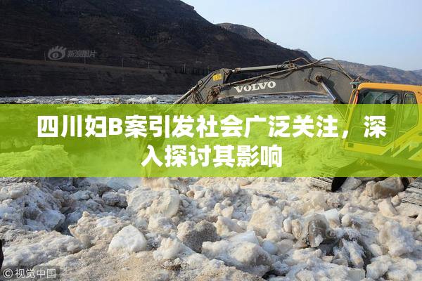四川妇B案引发社会广泛关注，深入探讨其影响