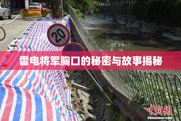 雷电将军胸口的秘密与故事揭秘