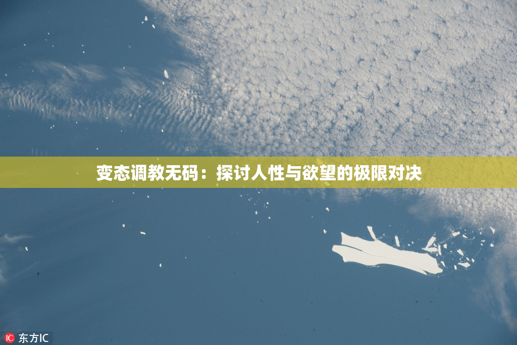 变态调教无码：探讨人性与欲望的极限对决