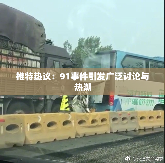 推特热议：91事件引发广泛讨论与热潮
