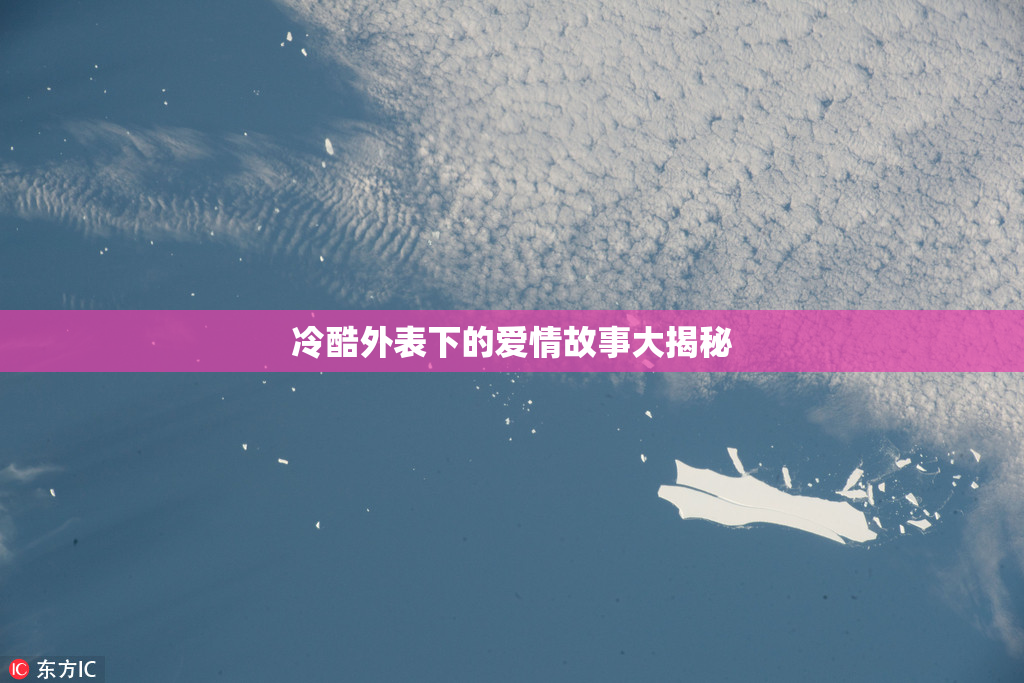 冷酷外表下的爱情故事大揭秘