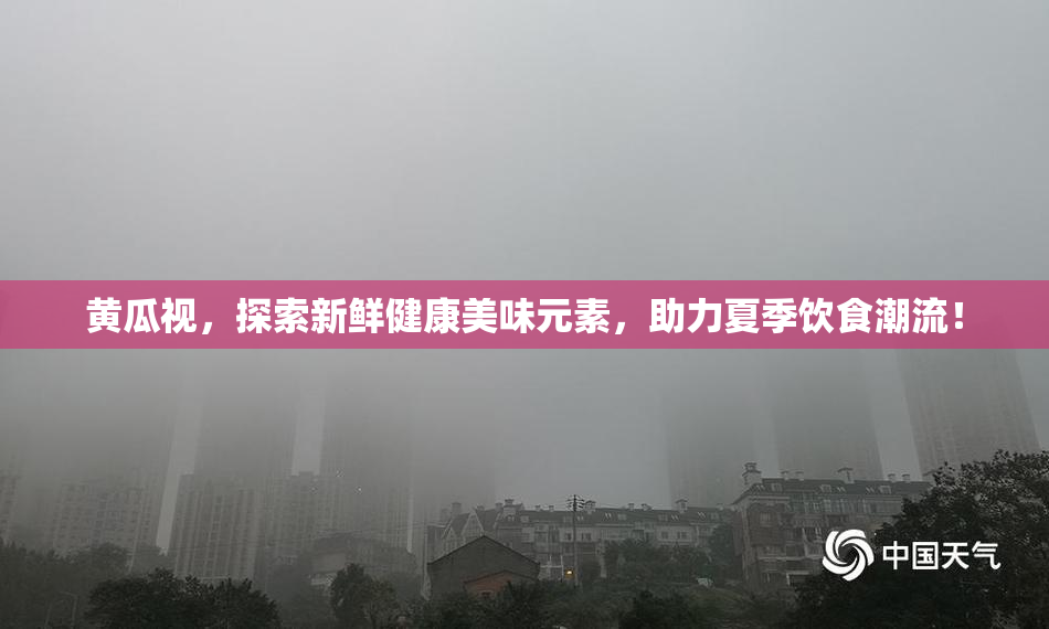 黄瓜视，探索新鲜健康美味元素，助力夏季饮食潮流！