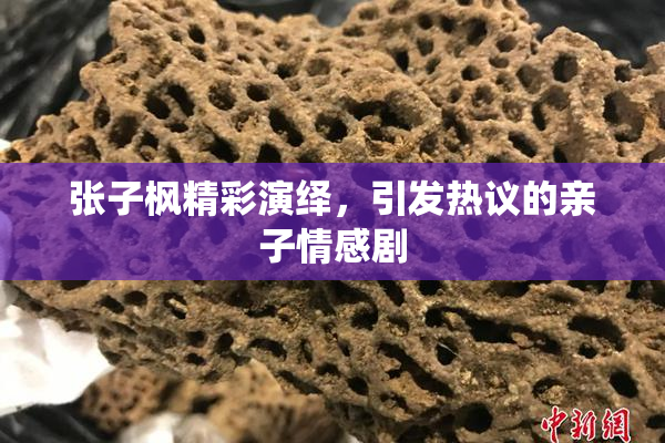 张子枫精彩演绎，引发热议的亲子情感剧