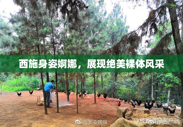 西施身姿婀娜，展现绝美裸体风采