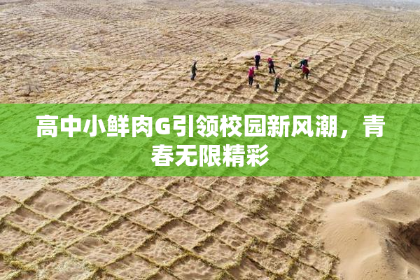 高中小鲜肉G引领校园新风潮，青春无限精彩