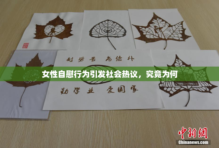 女性自慰行为引发社会热议，究竟为何