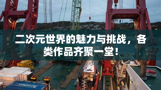 二次元世界的魅力与挑战，各类作品齐聚一堂！
