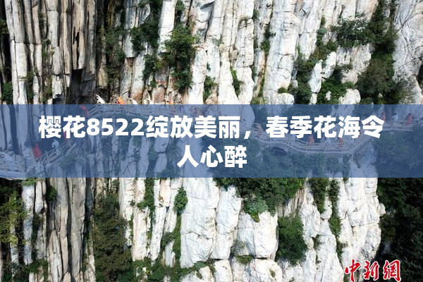 樱花8522绽放美丽，春季花海令人心醉