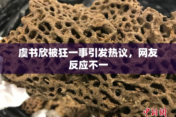 虞书欣被狂一事引发热议，网友反应不一