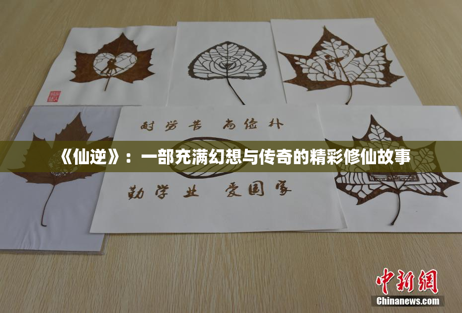 《仙逆》：一部充满幻想与传奇的精彩修仙故事