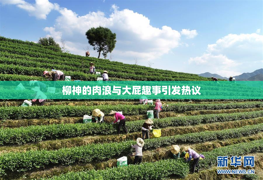 柳神的肉浪与大屁趣事引发热议