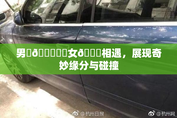 男‌🍌❌‌女🍑相遇，展现奇妙缘分与碰撞