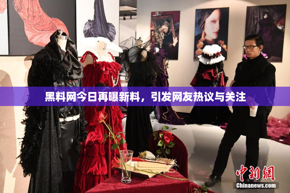 黑料网今日再曝新料，引发网友热议与关注