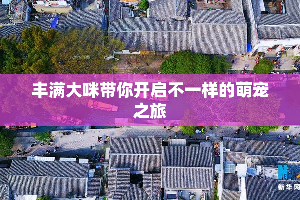 丰满大咪带你开启不一样的萌宠之旅