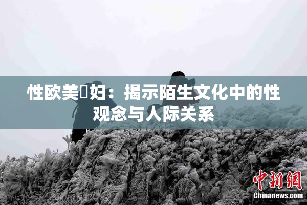 性欧美婬妇：揭示陌生文化中的性观念与人际关系