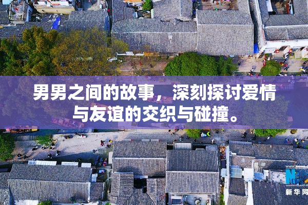 男男之间的故事，深刻探讨爱情与友谊的交织与碰撞。