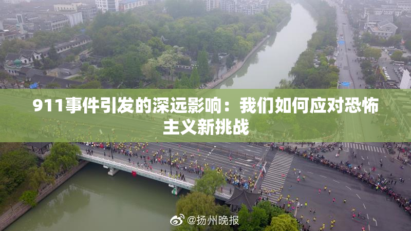 911事件引发的深远影响：我们如何应对恐怖主义新挑战