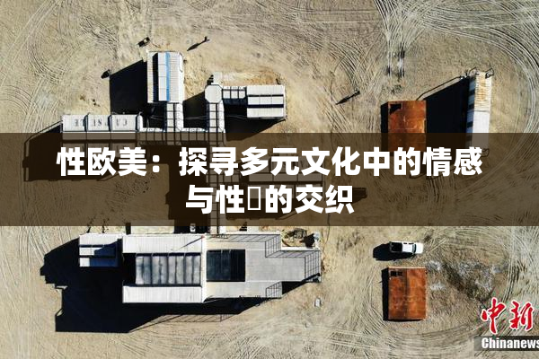 性欧美：探寻多元文化中的情感与性愛的交织