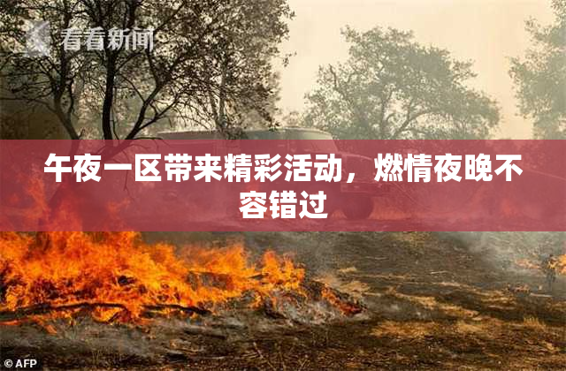 午夜一区带来精彩活动，燃情夜晚不容错过