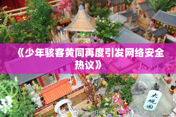 《少年骇客黄同再度引发网络安全热议》