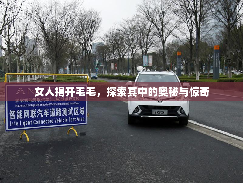 女人揭开毛毛，探索其中的奥秘与惊奇