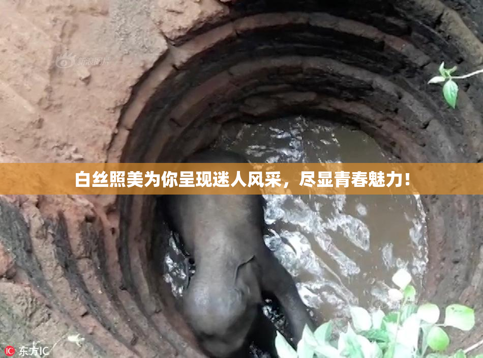 白丝照美为你呈现迷人风采，尽显青春魅力！