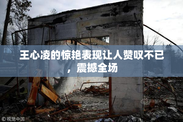 王心凌的惊艳表现让人赞叹不已，震撼全场