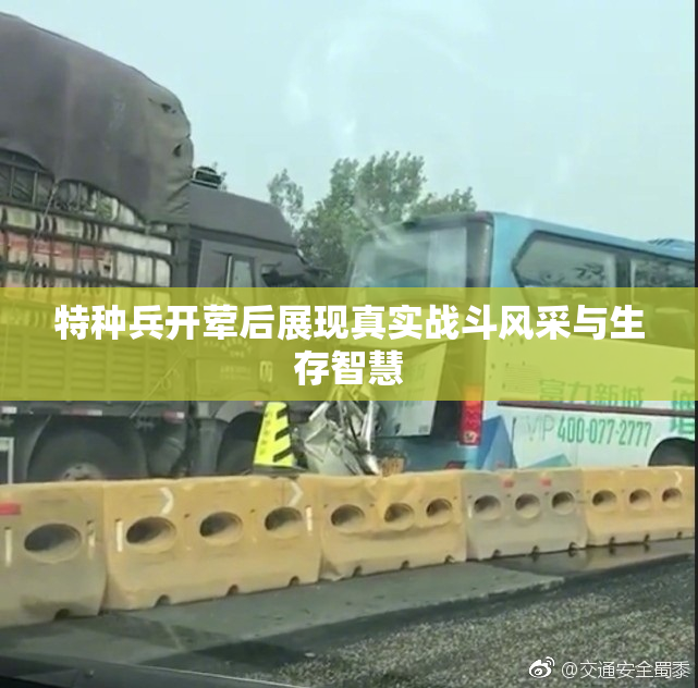 特种兵开荤后展现真实战斗风采与生存智慧