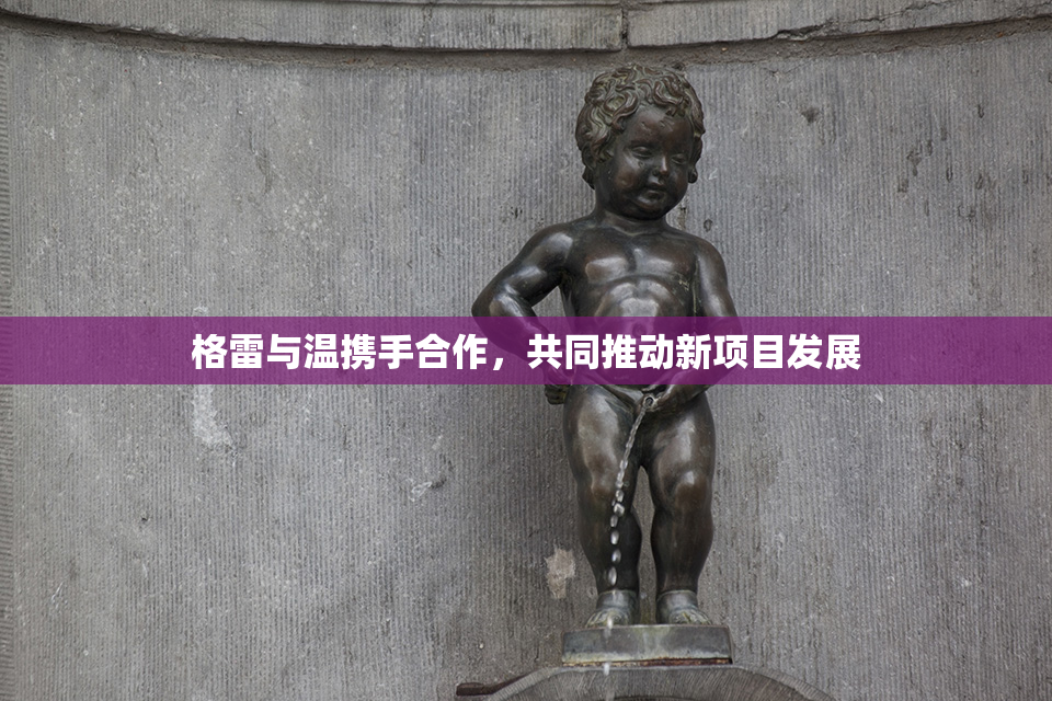 格雷与温携手合作，共同推动新项目发展