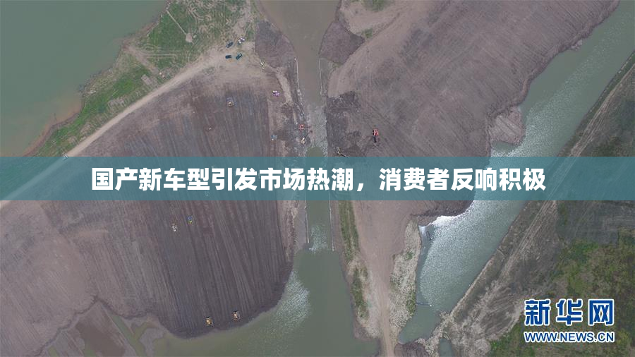 国产新车型引发市场热潮，消费者反响积极