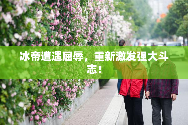 冰帝遭遇屈辱，重新激发强大斗志！