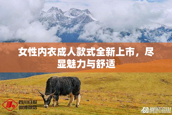 女性内衣成人款式全新上市，尽显魅力与舒适