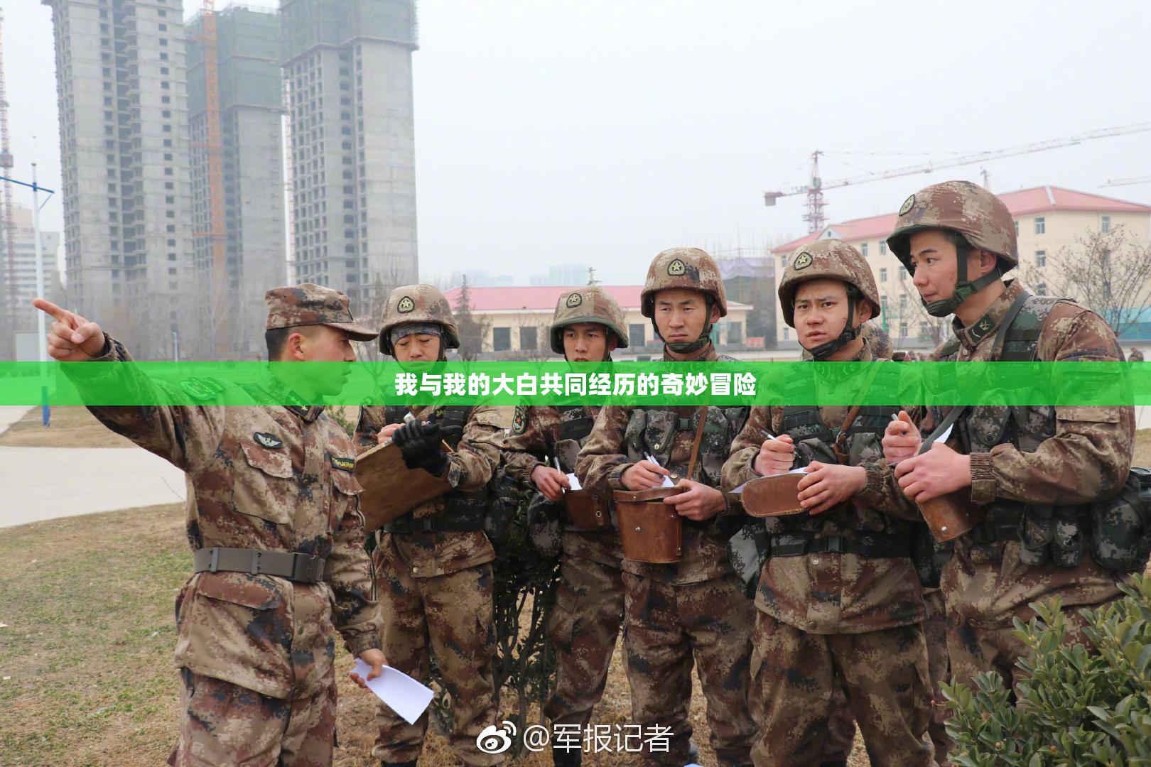 我与我的大白共同经历的奇妙冒险
