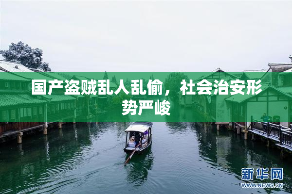 国产盗贼乱人乱偷，社会治安形势严峻
