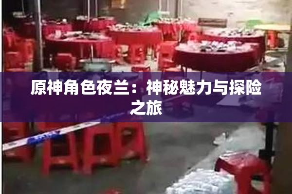 原神角色夜兰：神秘魅力与探险之旅