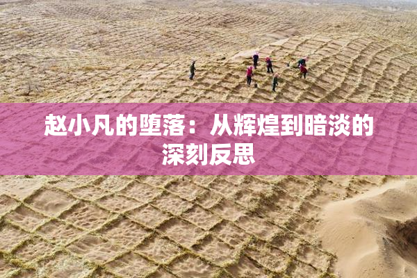 赵小凡的堕落：从辉煌到暗淡的深刻反思