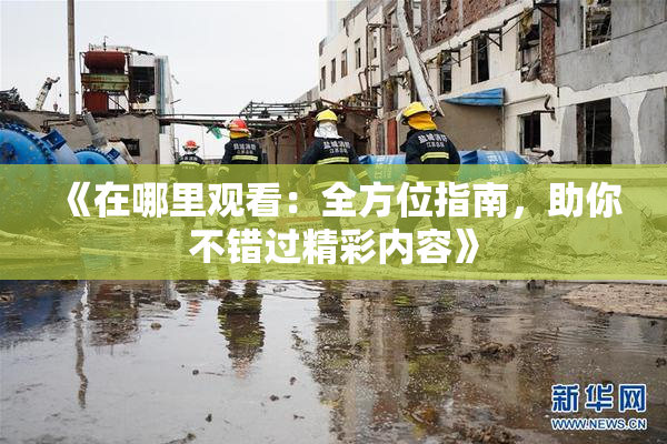 《在哪里观看：全方位指南，助你不错过精彩内容》