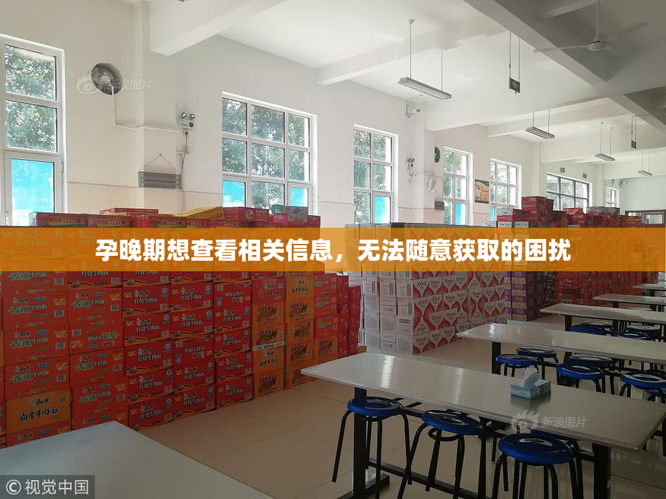 孕晚期想查看相关信息，无法随意获取的困扰