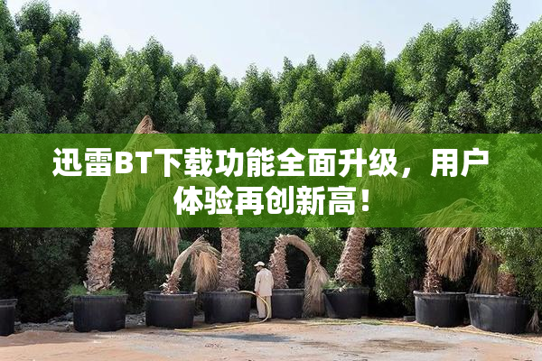 迅雷BT下载功能全面升级，用户体验再创新高！