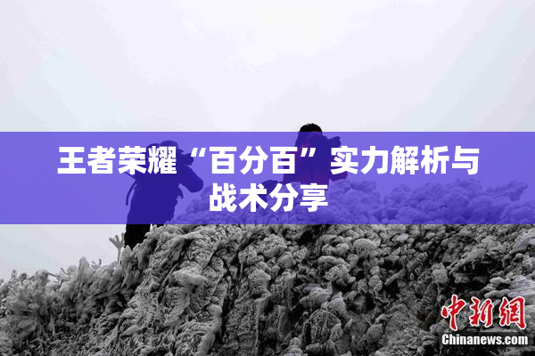 王者荣耀“百分百”实力解析与战术分享