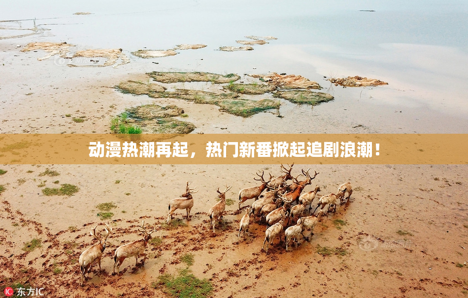 动漫热潮再起，热门新番掀起追剧浪潮！