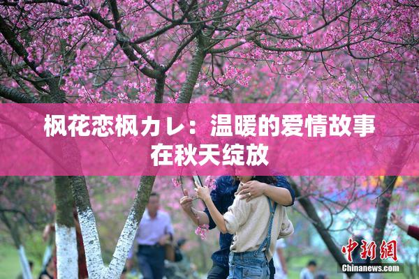 枫花恋枫カレ：温暖的爱情故事在秋天绽放