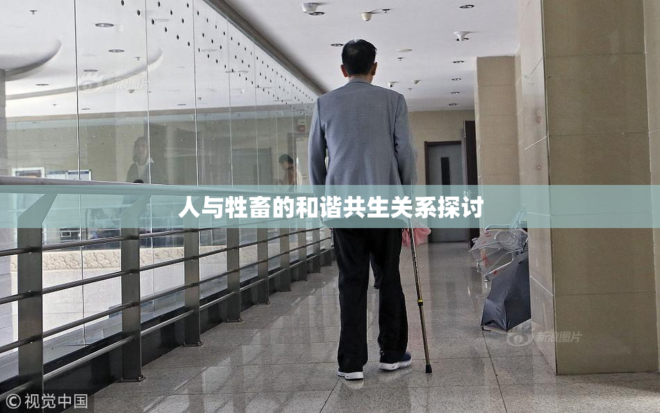 人与牲畜的和谐共生关系探讨