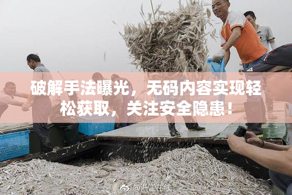 破解手法曝光，无码内容实现轻松获取，关注安全隐患！