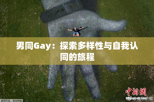 男同Gay：探索多样性与自我认同的旅程