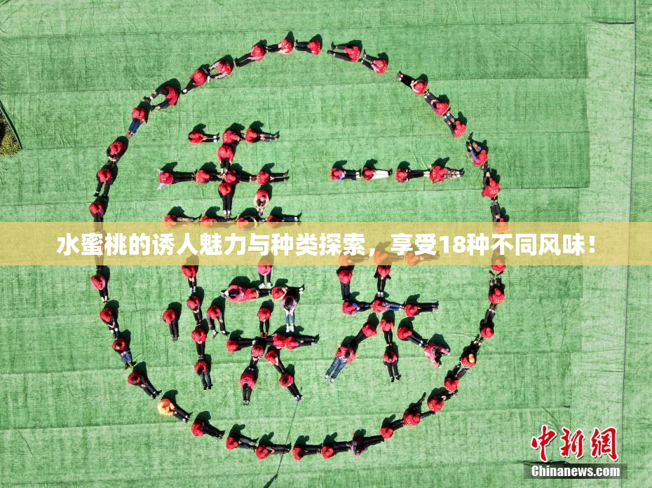 水蜜桃的诱人魅力与种类探索，享受18种不同风味！